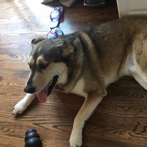 Meet your Posher, Mitch